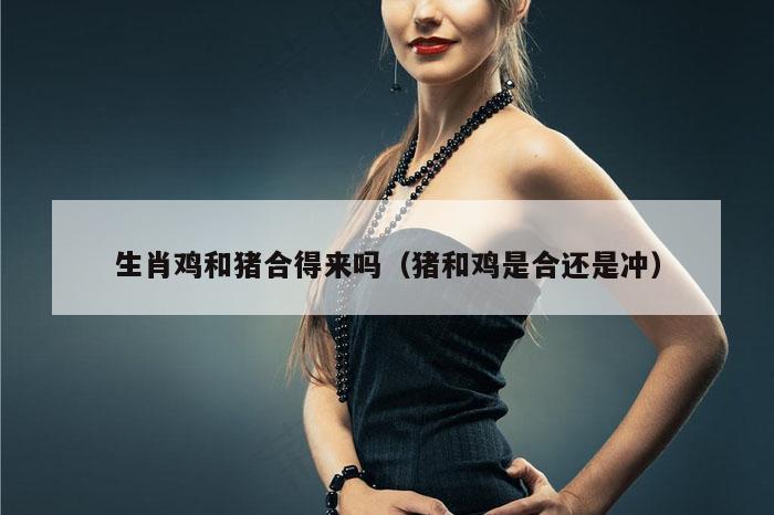 生肖鸡和猪合得来吗（猪和鸡是合还是冲）